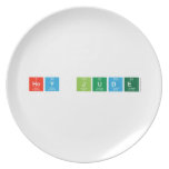 Hey Jude  Plates