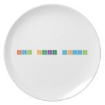 brain hacker festival  Plates