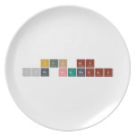 ITS MY 17th BIRTHDAY  Plates