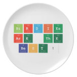 Birdies
 are the
 Best!  Plates