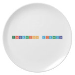 PROGRAMACION DIDACTICA  Plates
