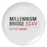 millennium bridge  Plates
