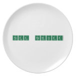 Noel Ramirez  Plates