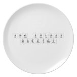 STEM Success
 Workshop  Plates