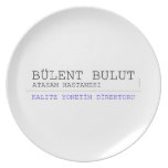 BÜLENT BULUT  Plates