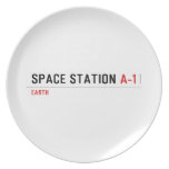 Space Station  Plates