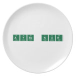 Ayse Nur   Plates
