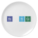 Be Nice  Plates