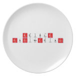 Edible
 Engi|nee|ri|ng  Plates