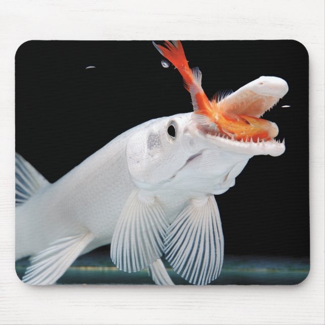 Platinum Alligator Gar Pike Mouse Pad (Front)