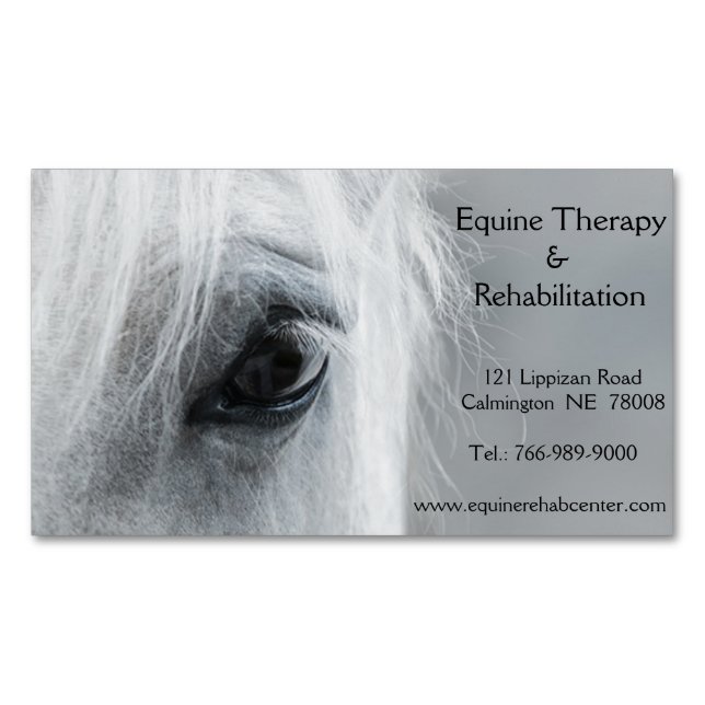 Platinum Equine Custom Magnetic Business Card (Front)