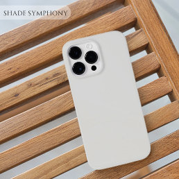 &#127752;Platinum Gray 1 of Top 25 Solid Grey Shades For iPhone 13 Pro Max Case