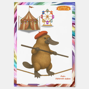 Plato platypus tightrope walker magnet