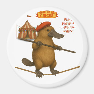Plato platypus tightrope walker magnet