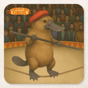 Plato platypus tightrope walker square paper coaster