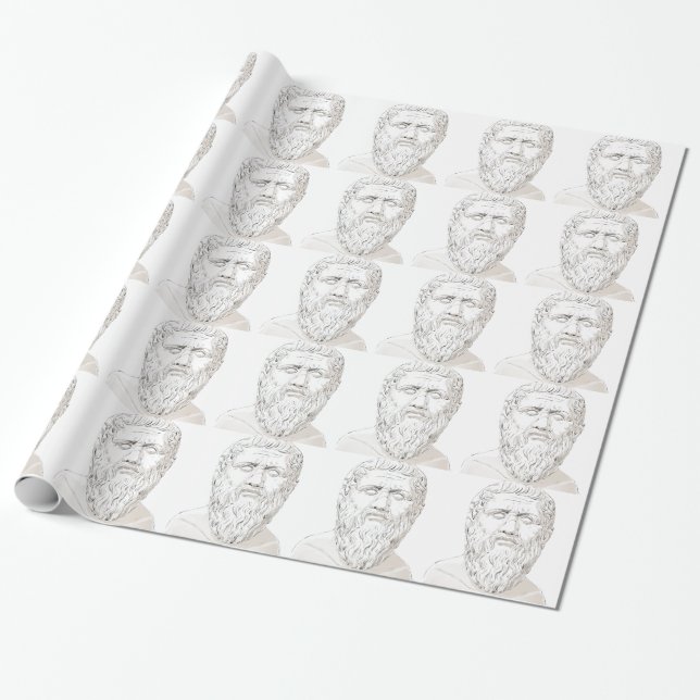 Plato Wrapping Paper (Unrolled)