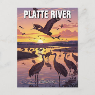 Platte River Sandhill Cranes Nebraska Travel Postcard