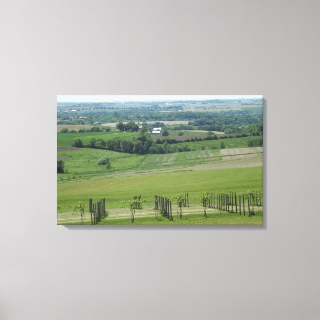 Platteville, Wisconsin Grapevine  Vineyard Poster Canvas Print (Front)