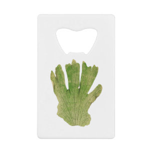Platycerium Grande (Giant Staghorn Fern) fern leaf Credit Card Bottle Opener