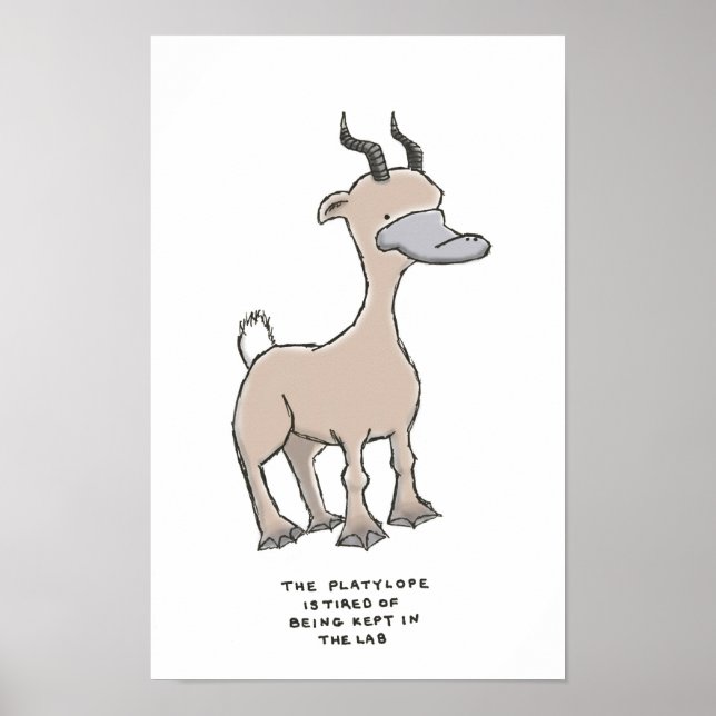 platylope trivia poster (Front)