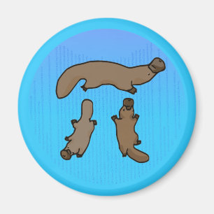 "Platypi" Three Platypuses Greek Pi Magnet