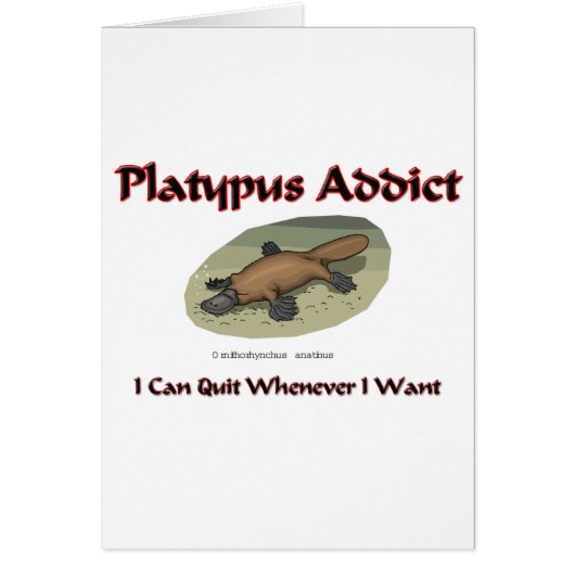 Platypus Addict Cards (Front)