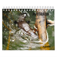 PLATYPUS AUSTRALIA