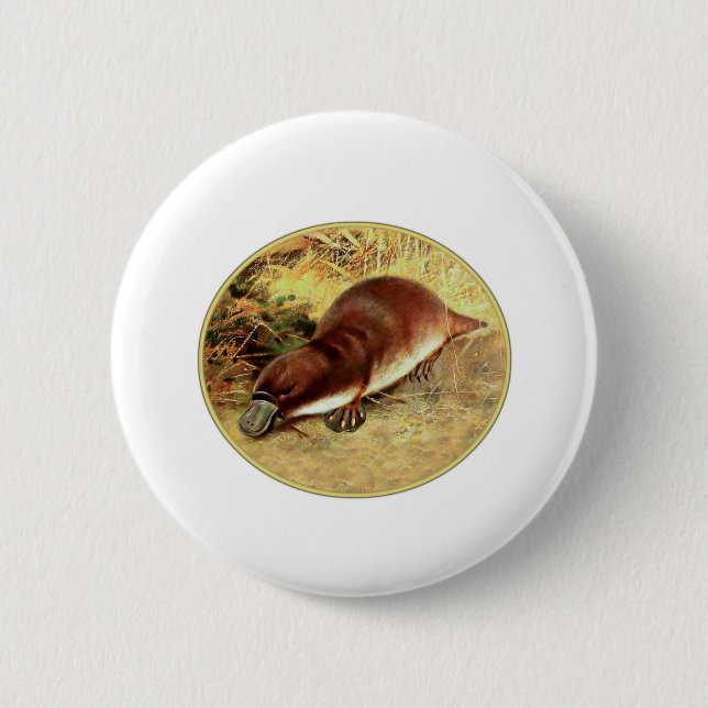 Platypus Button (Front)