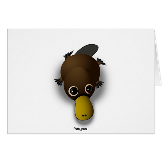 platypus cards (Front Horizontal)