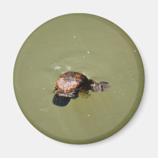 PLATYPUS EUNGELLA NATIONAL PARK AUSTRALIA MAGNET
