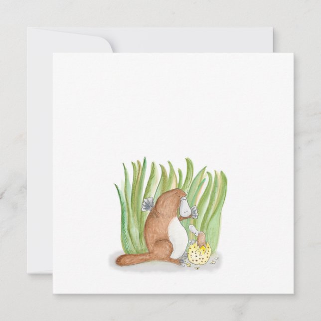 Platypus flat card (Front)