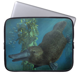 Platypus Laptop Sleeve