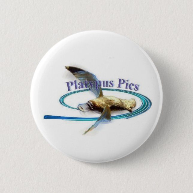 Platypus Pictures Pinback Button (Front)