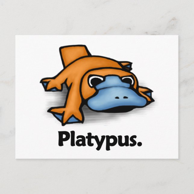 Platypus Platypus. Postcard (Front)