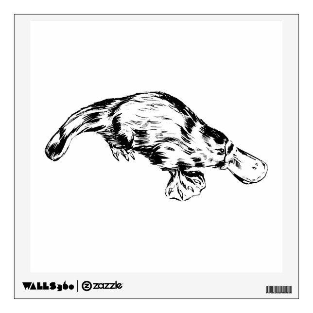 Platypus Realistic Black and White Illustration Wall Sticker (Front)
