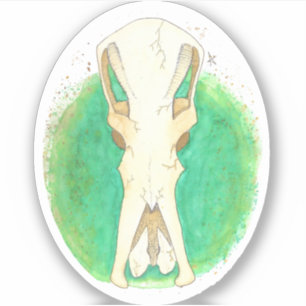 Platypus Skull Sticker