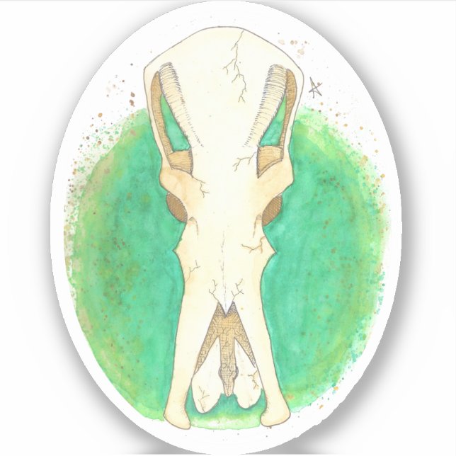 Platypus Skull Sticker (Front)