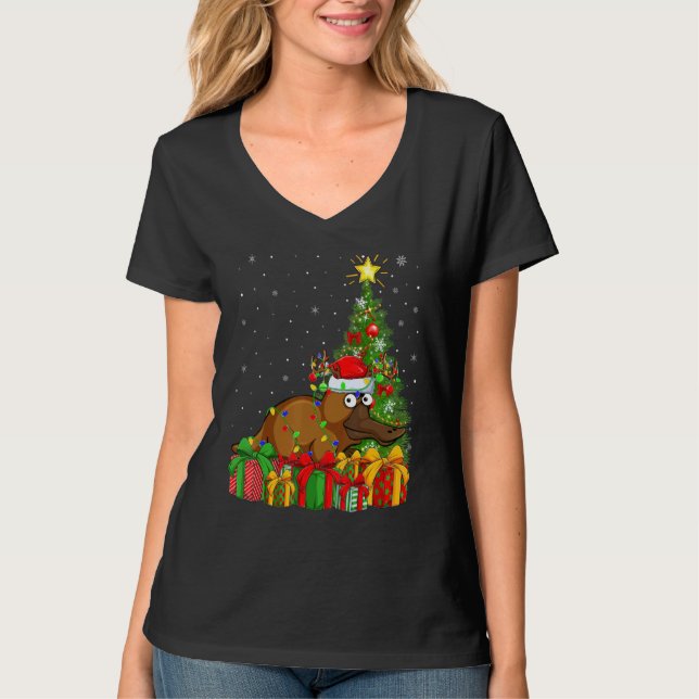 Platypus   Xmas Holiday Santa Platypus Christmas T T-Shirt (Front)