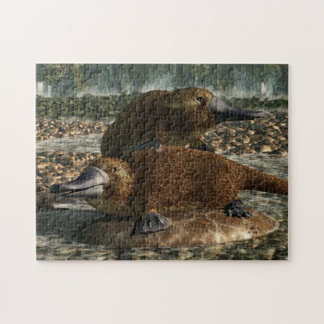 Platypuses Jigsaw Puzzle (Horizontal)