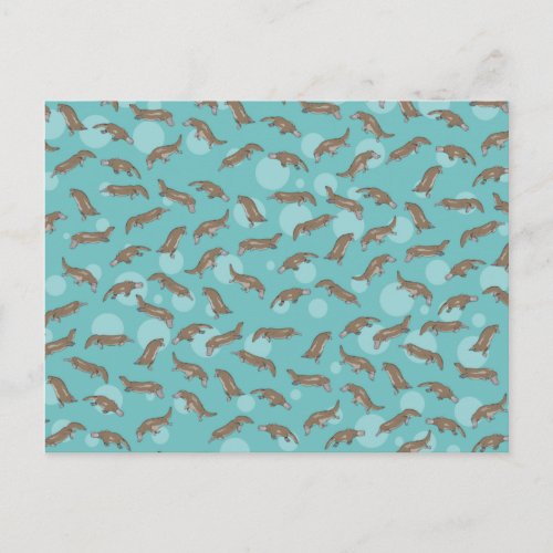 Platypuses  Swimming Postcard