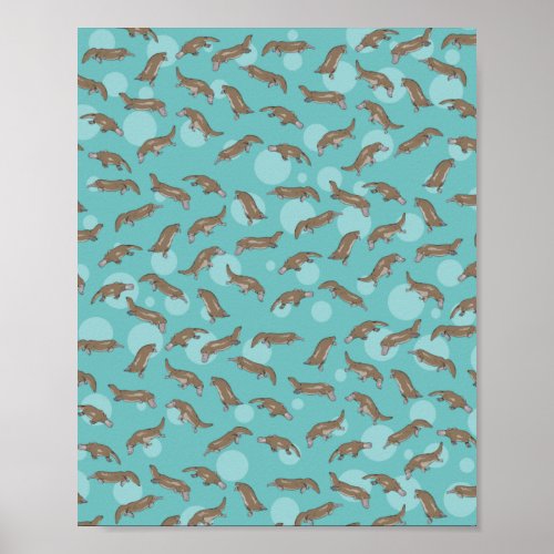 Platypuses  Swimming Poster
