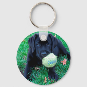 Play Ball - Labrador Puppy - Black Lab Keychain