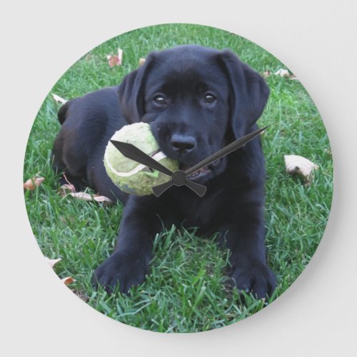 Play Ball _ Labrador Puppy _ Black Lab Large Clock