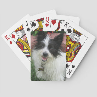 Play Cards with Mutts