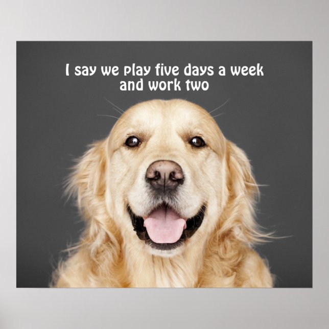 PLAY FIVE DAYS A WEEK POSTER (Front)