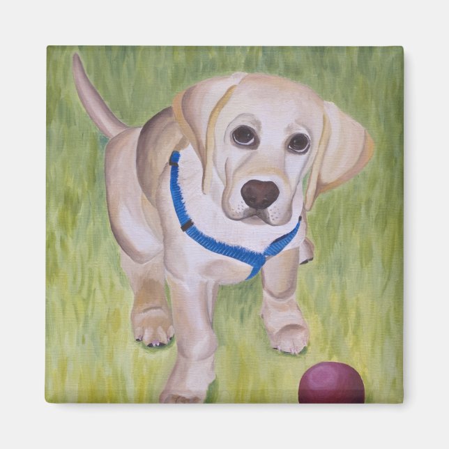 Play With Me. Yellow Labrador Retriever Magnent Magnet (Front)