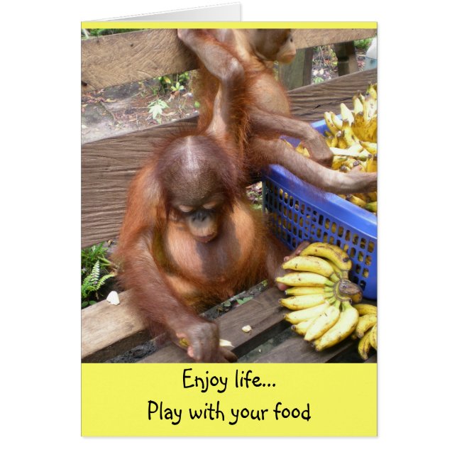 Play with  Your Food Cards (Front)