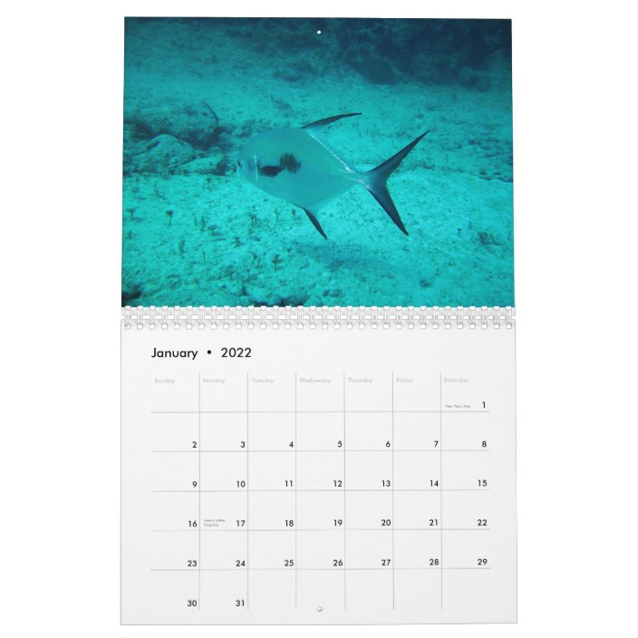 Playa del Carmen, Mexico Calendar | Zazzle.com