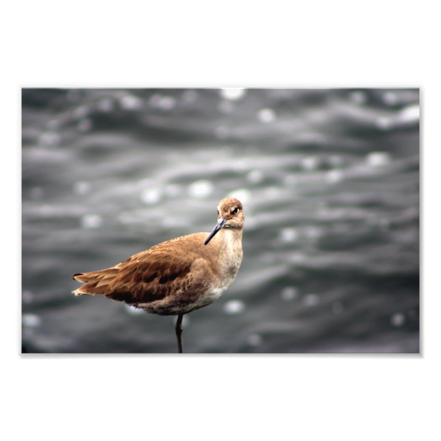 Playa Del Rey Photo Print (Front)