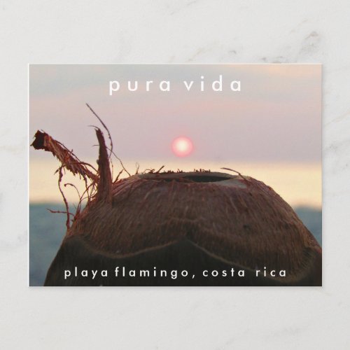 Playa Flamingo Sunset Coconut Costa Rica Postcard